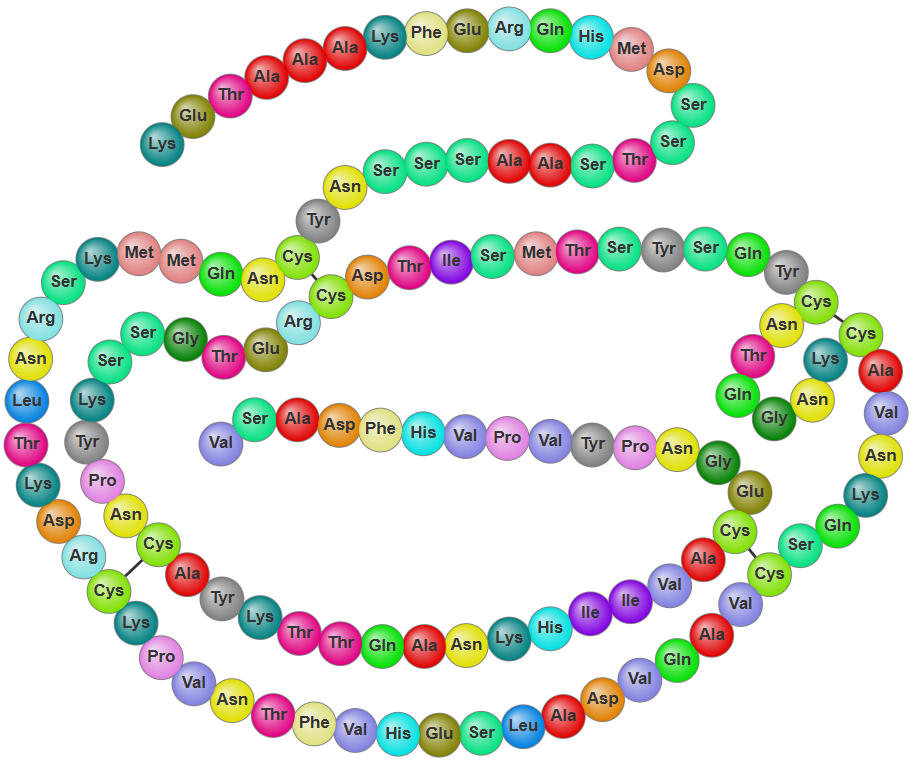Ribonuclease A - The Simplest Protein - Big Picture